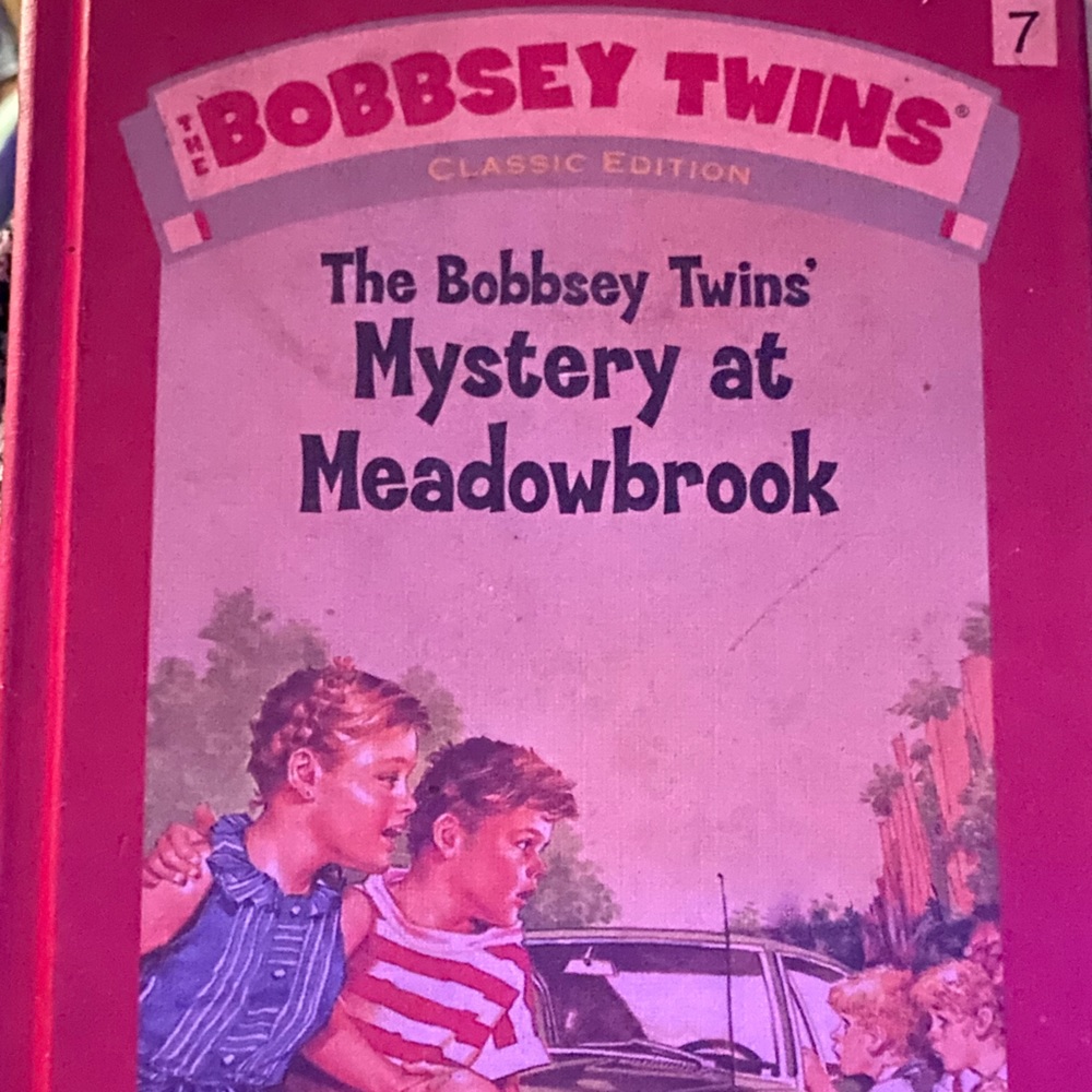 Hard copy of a classic, vintage kids’ book, The “Bobbsey Twins”, by Laura L Hope
